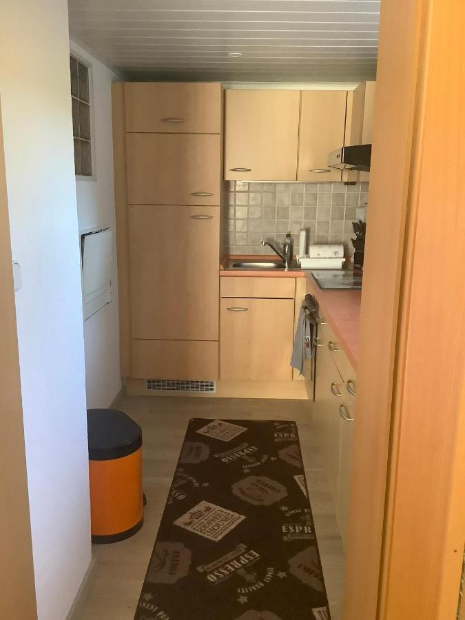 Ferienwohnung Zur Sperrmauer Lago Éder Exterior foto